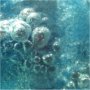 Bubbles (detail)
