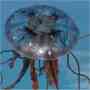 Purple jellyfish